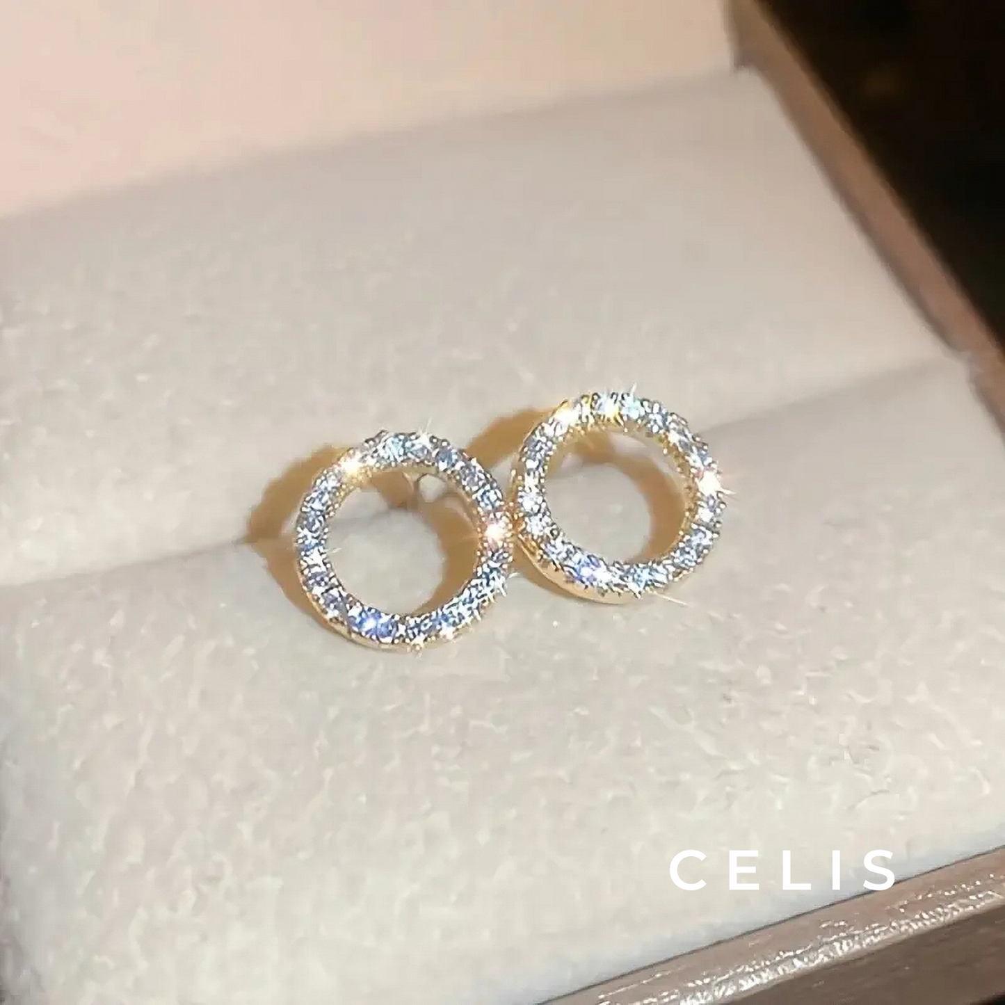 【Limited Item】 Eternal Ring Earrings