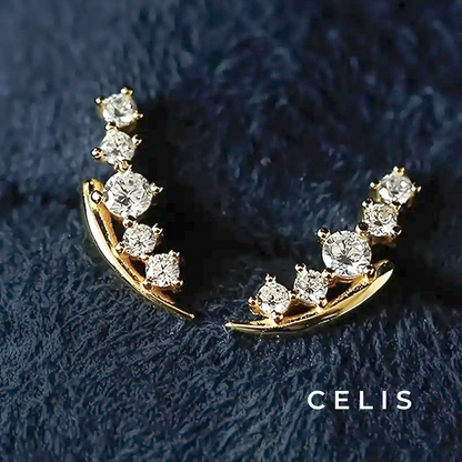 【Limited Item】 Zirconia Weep Earrings