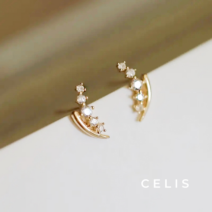 【Limited Item】 Zirconia Weep Earrings