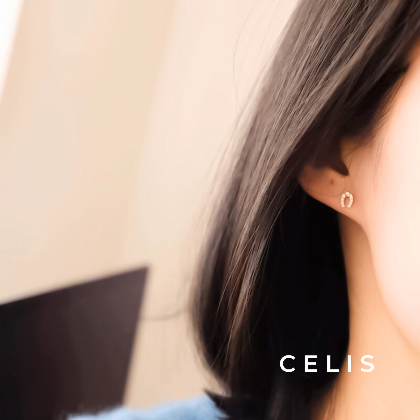 Horseshoe Zirconia Earrings